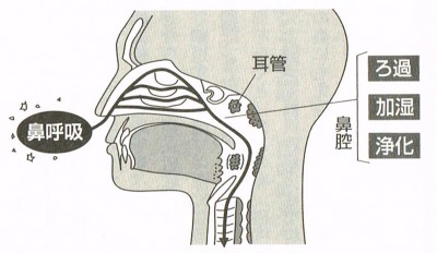 鼻呼吸